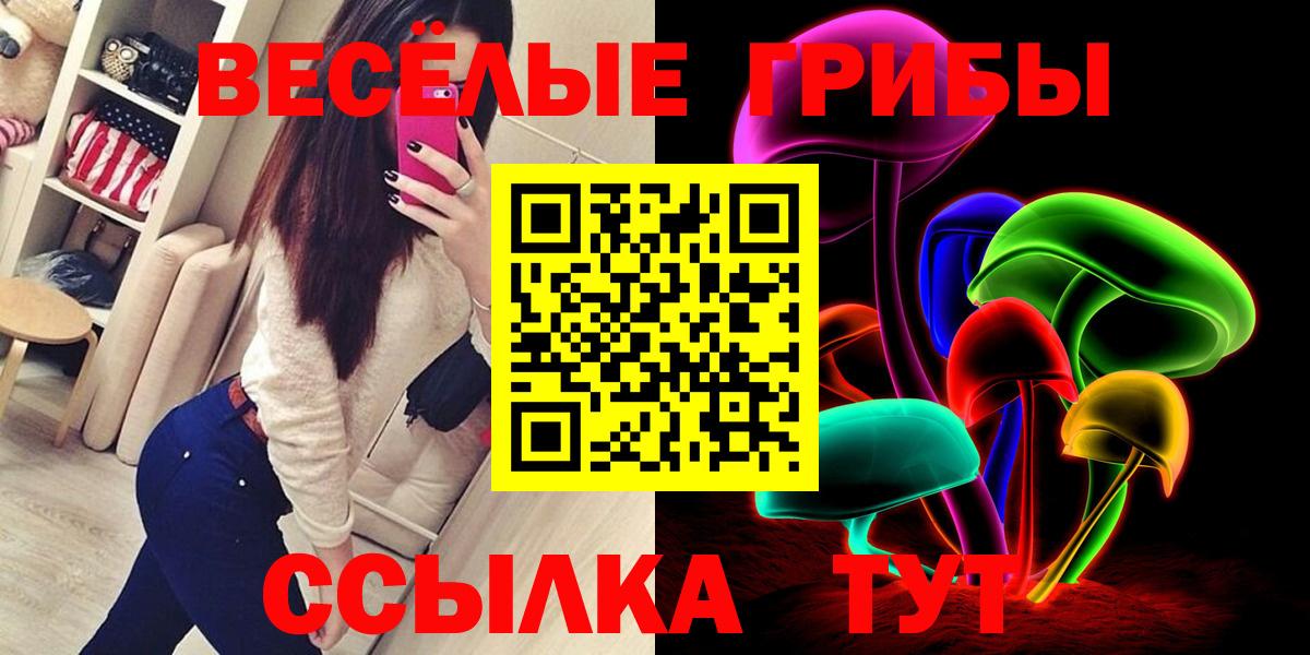 Галлюциногенные грибы Magic Shrooms  Псилоцибиновые грибы MAGIC MUSHROOMS  купить наркотики цена  Шелехов  Вход с VPN 